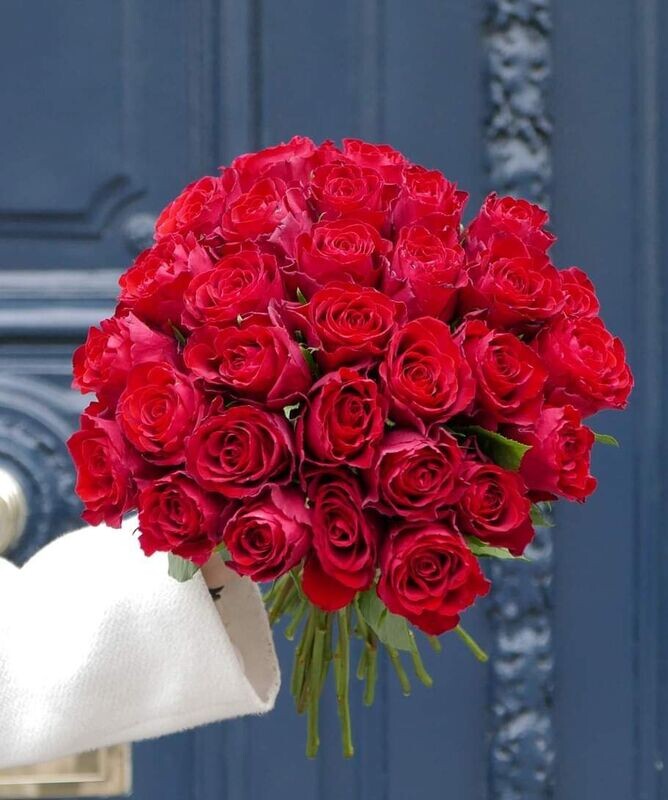 Rose rosse