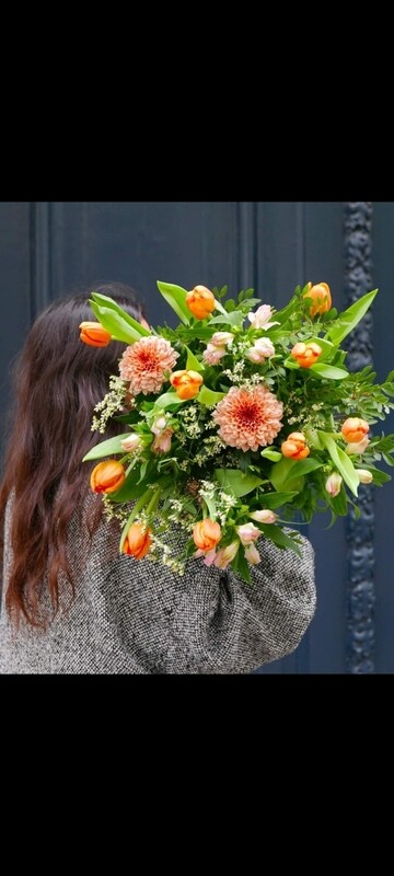Tenero orange