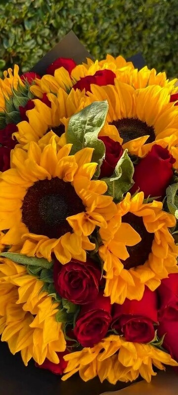Rose rosse e girasoli