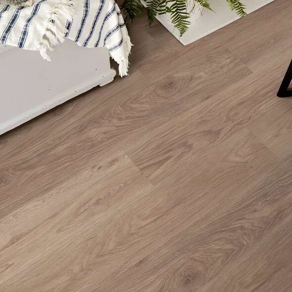 Pantheon HD 07234 TRUFFLE
