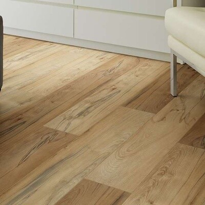 Titan HD Plus Platinum 00185 IMPERIAL BEECH