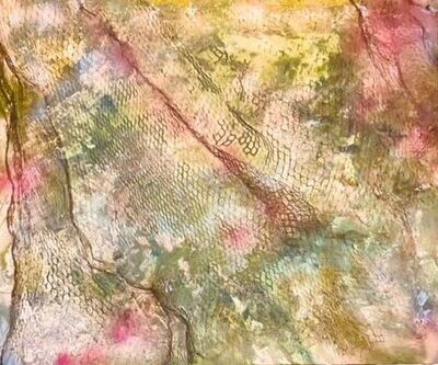 Fields of Nets