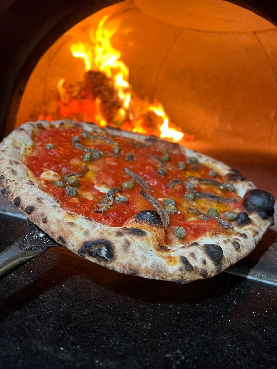Acciughe Neapolitan Style pizza with Anchovies, capers, San Marzano tomato sauce and citrus zest held in front of a wood fired oven