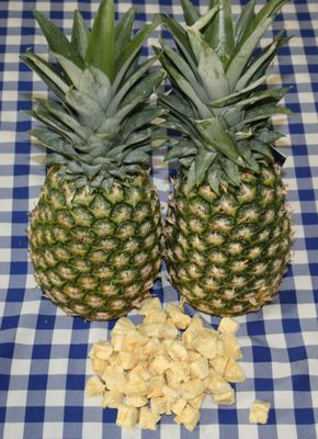 Freeze-Dried Pineapple Bites Per oz.