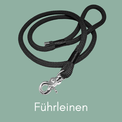 Führleinen