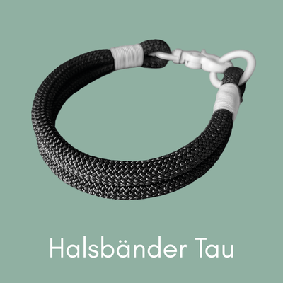 Tauhalsbänder mit Verschluss