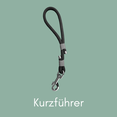 Kurzführer