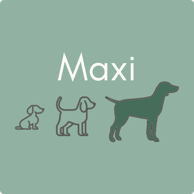 Maxi