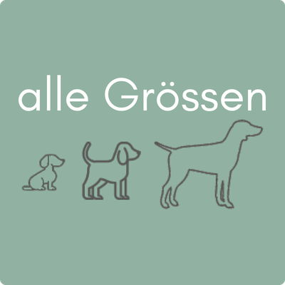 Alle Grössen