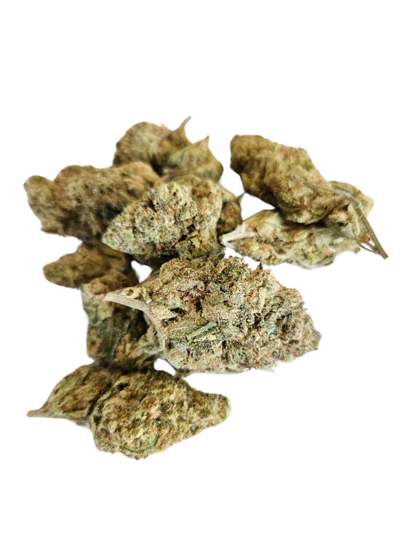 🌿 Jack CBD Indoor – El Pensador Verde del Nuevo Amanecer