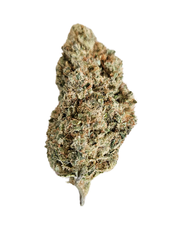🌿 Jack CBD Indoor – El Pensador Verde del Nuevo Amanecer