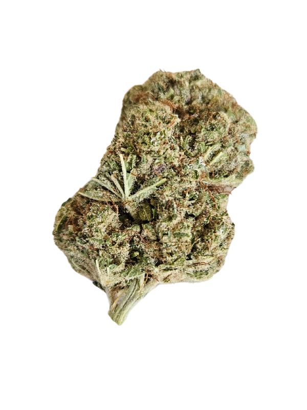 🤍 Ivory CBD Indoor – La Perla de la Serenidad Terrestre
