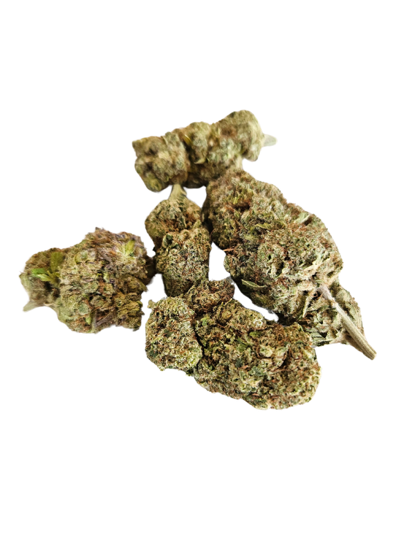 🤍 Ivory CBD Indoor – La Perla de la Serenidad Terrestre