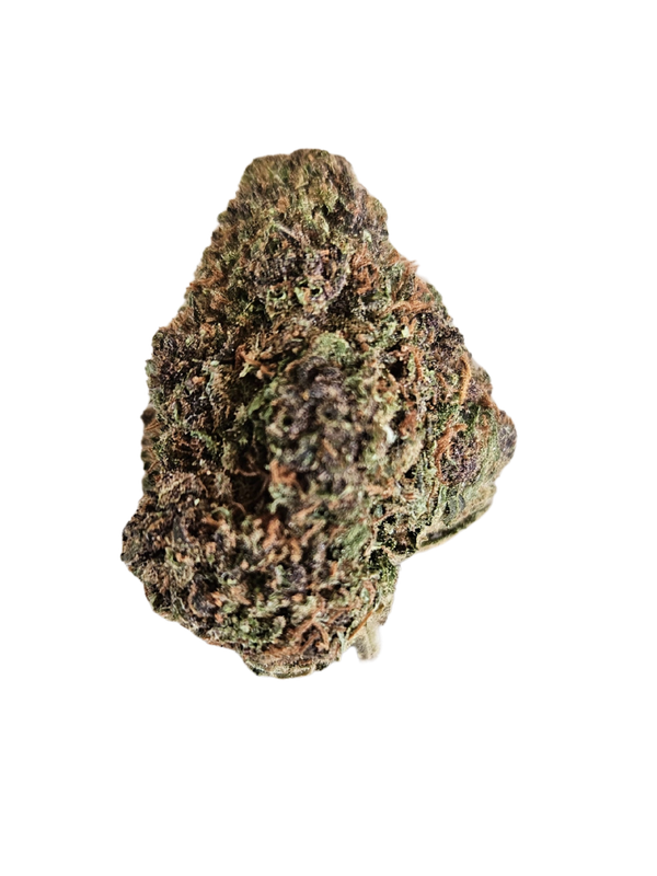 🍨 Gelato CBD Indoor – El Postre Sagrado de los Dioses del Silencio