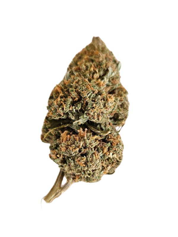 🍒🥧 Cherry Pie CBD Indoor – La Tarta del Placer Consciente