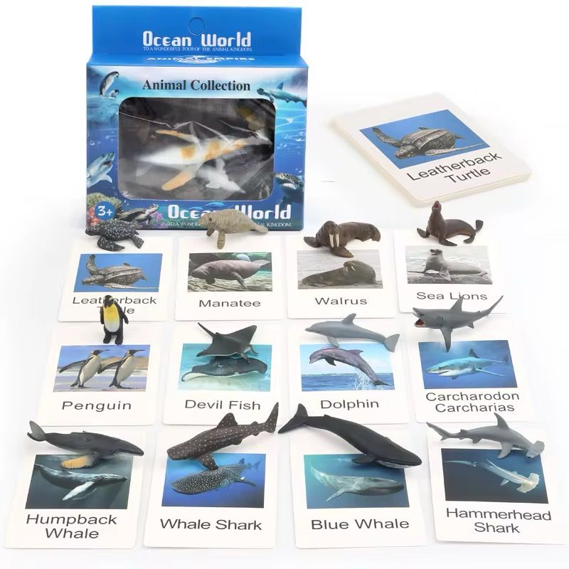 لعبة مطابقة مجسمات الحيوانات وبطاقات الصور | Animal Figures and Picture Cards Matching Game |عالم البحار sea world 