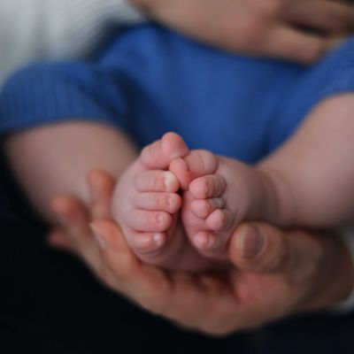 Baby Shiatsu Kurs