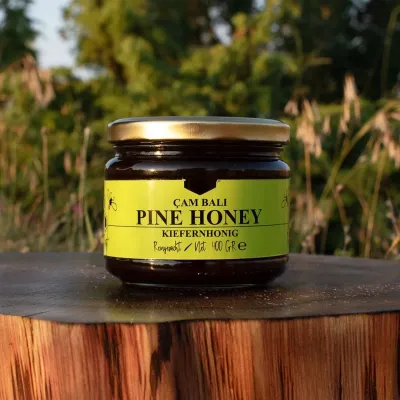 Strained Pine Honey