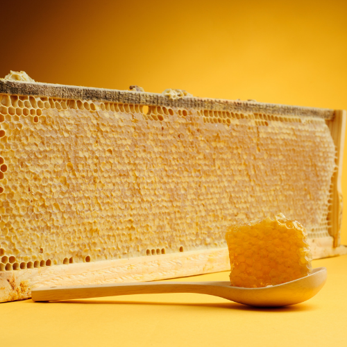 Comb Honey