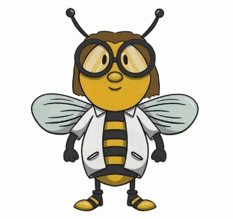 The Crazy Bee Lady Merch