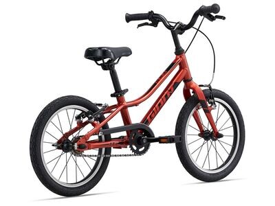 Giant ARX 16 Kid&#39;s Bike