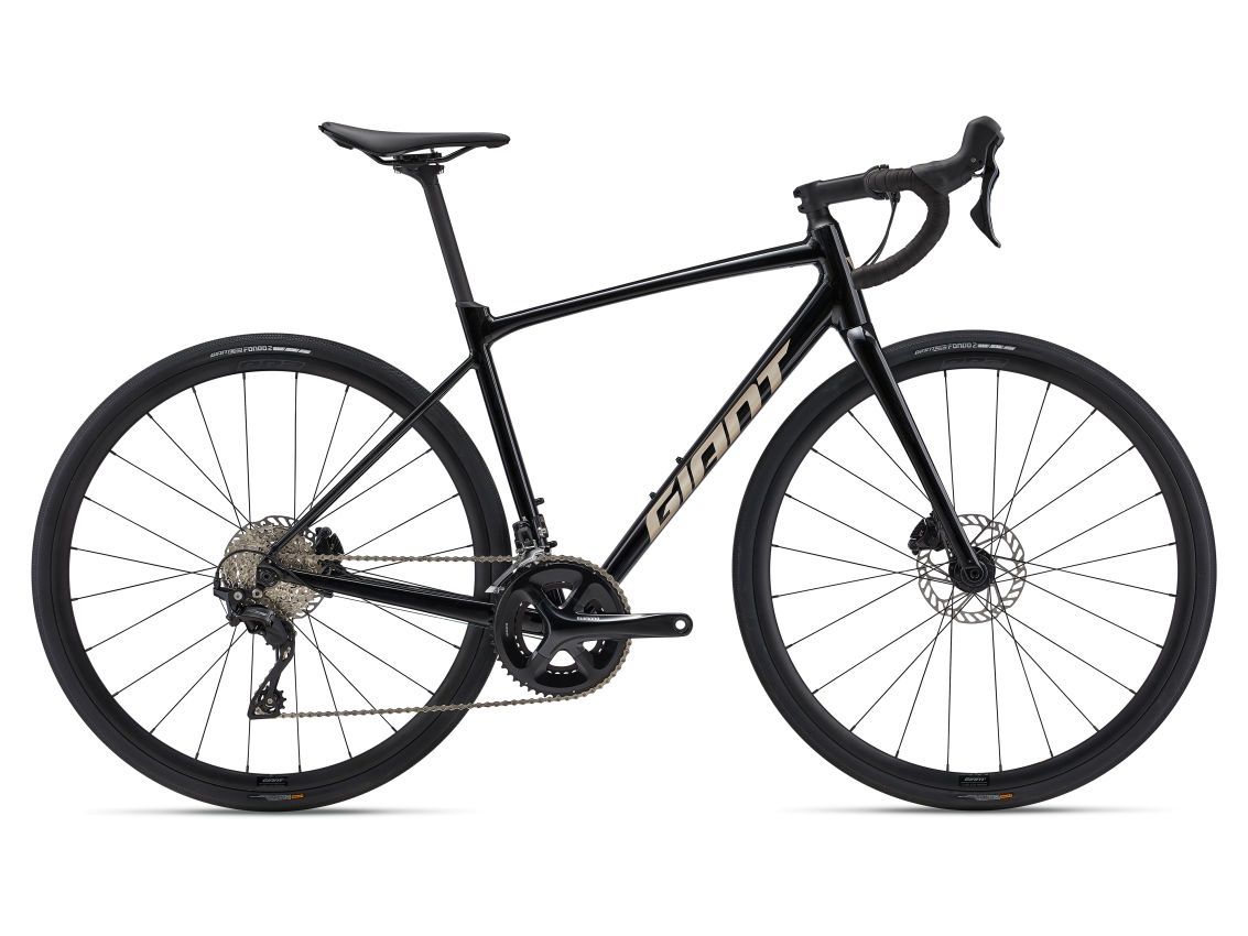 Giant Contend AR 1 (2024)