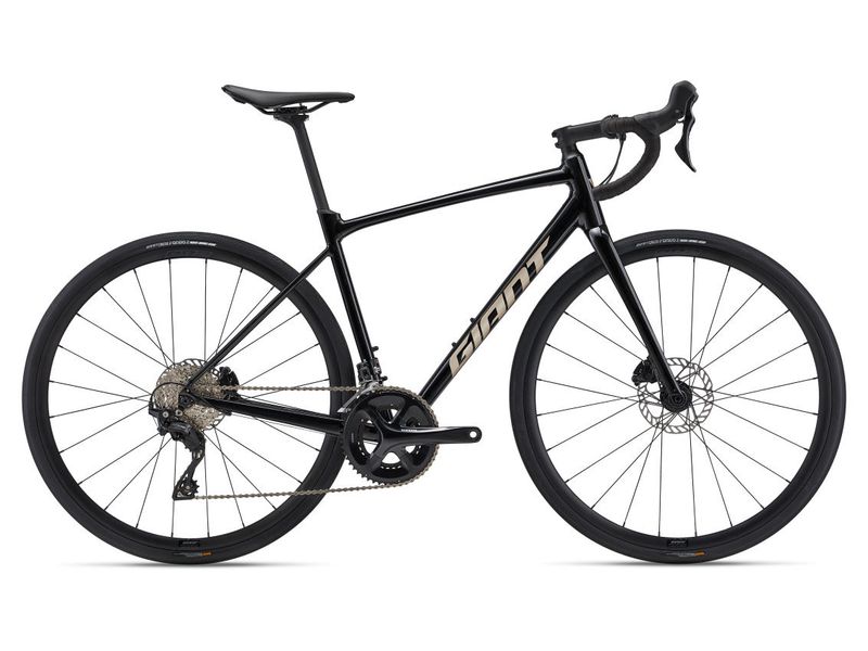 Giant Contend AR 1 (2024)