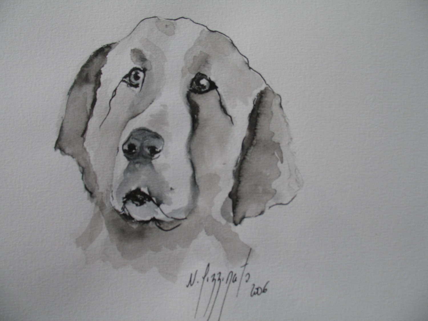 CHIEN MATIN DES PYRENEES N°245