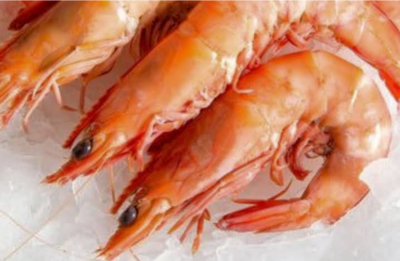 Crevette Prawn (Individual)