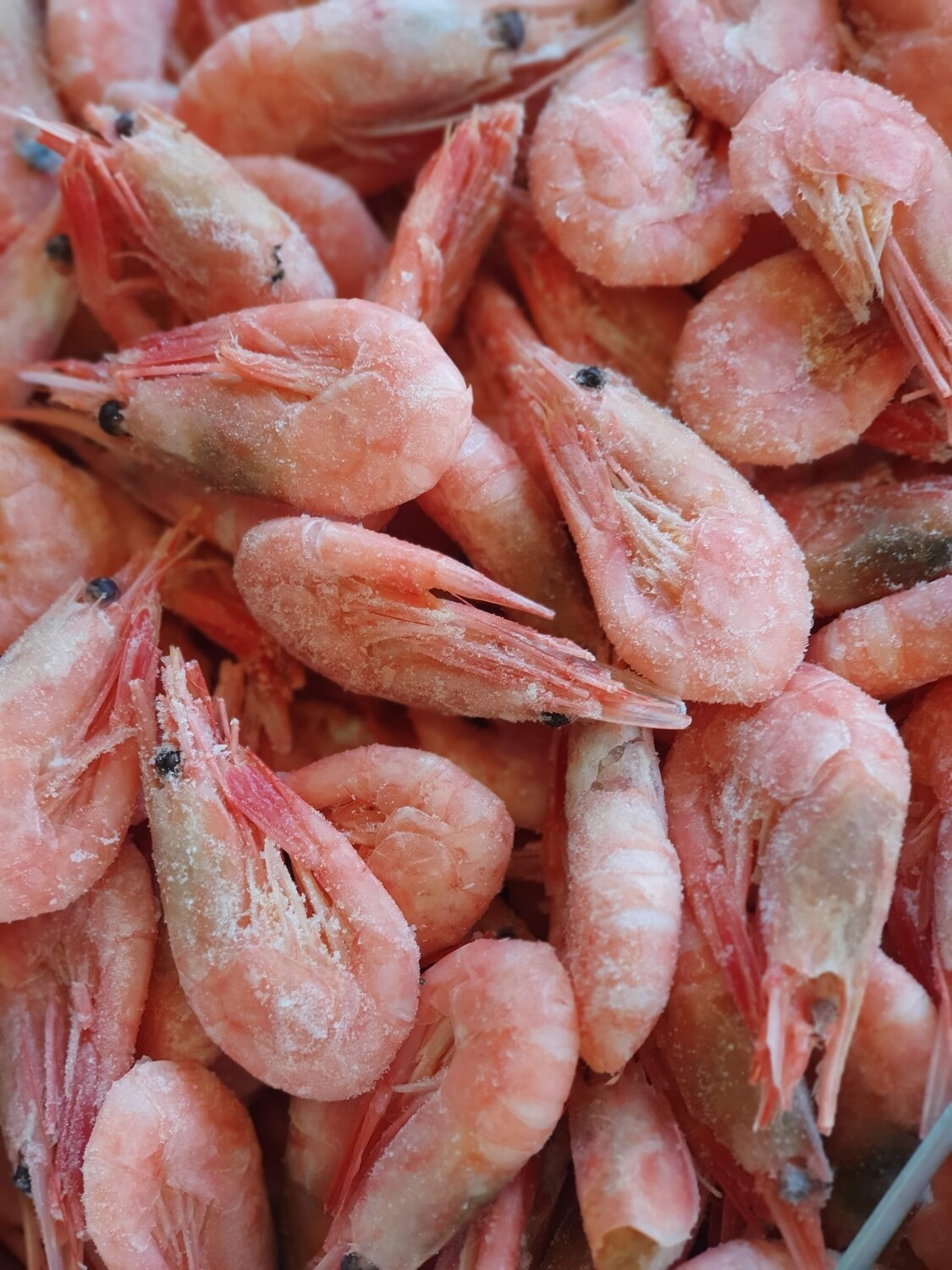 Shell on Prawns (5kg Box)