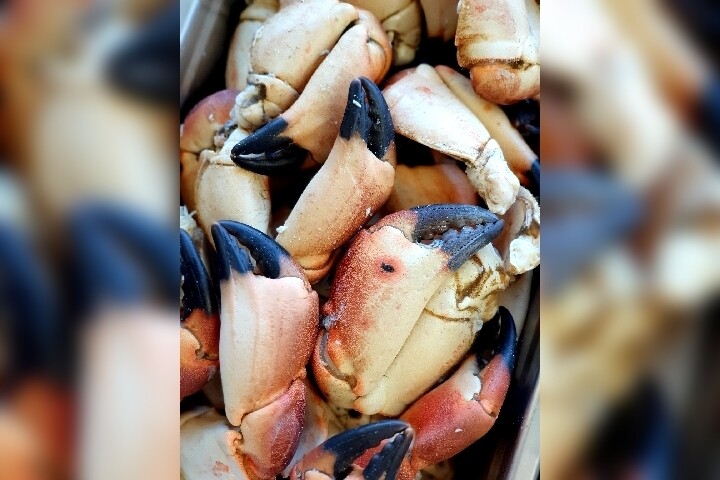 Crab Claws (8-10pcs) approx 500g