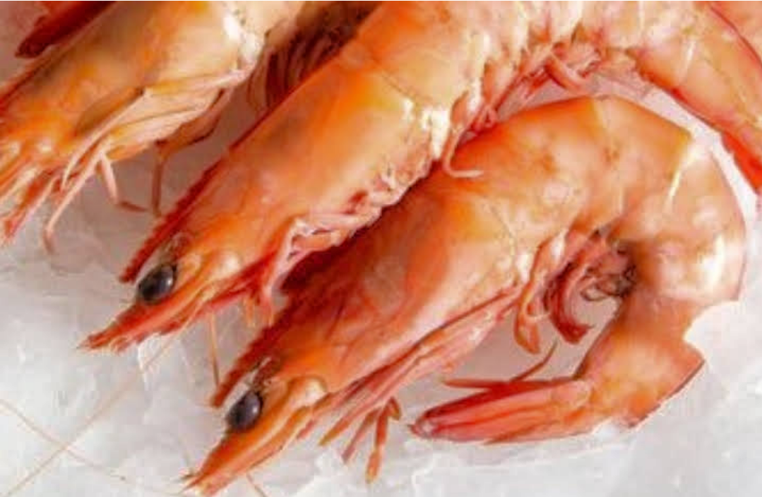 Crevette Prawns (3)