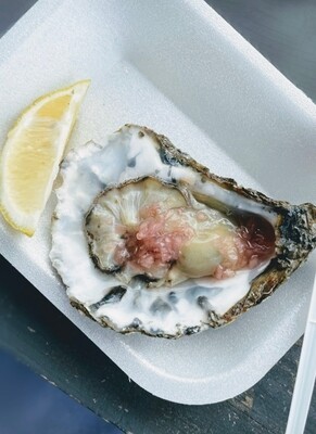 Oysters (6) Half Dozen