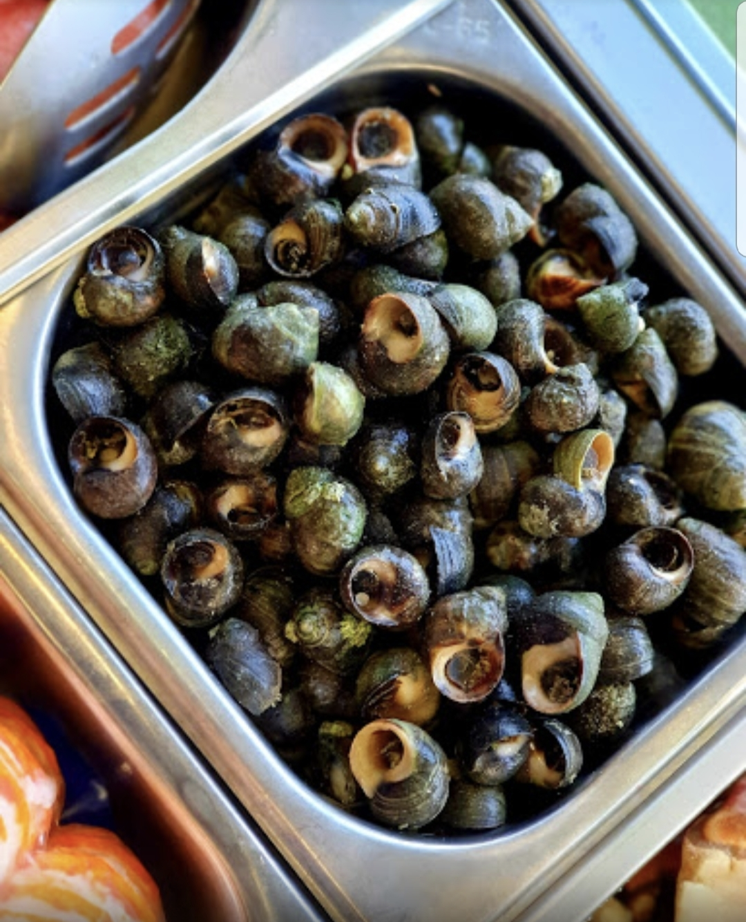 Winkles (Small)