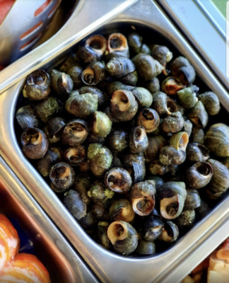 Winkles (Medium)