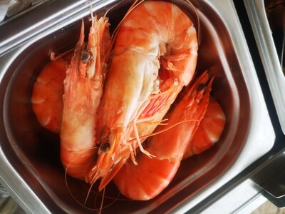 Crevette Prawns