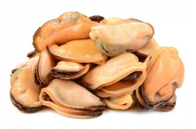 Mussels