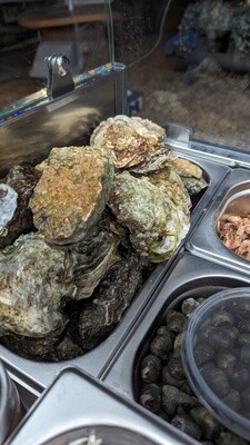Oysters