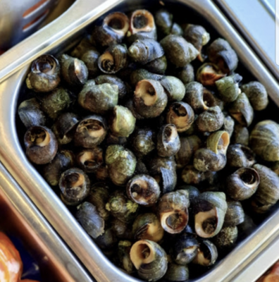 Winkles