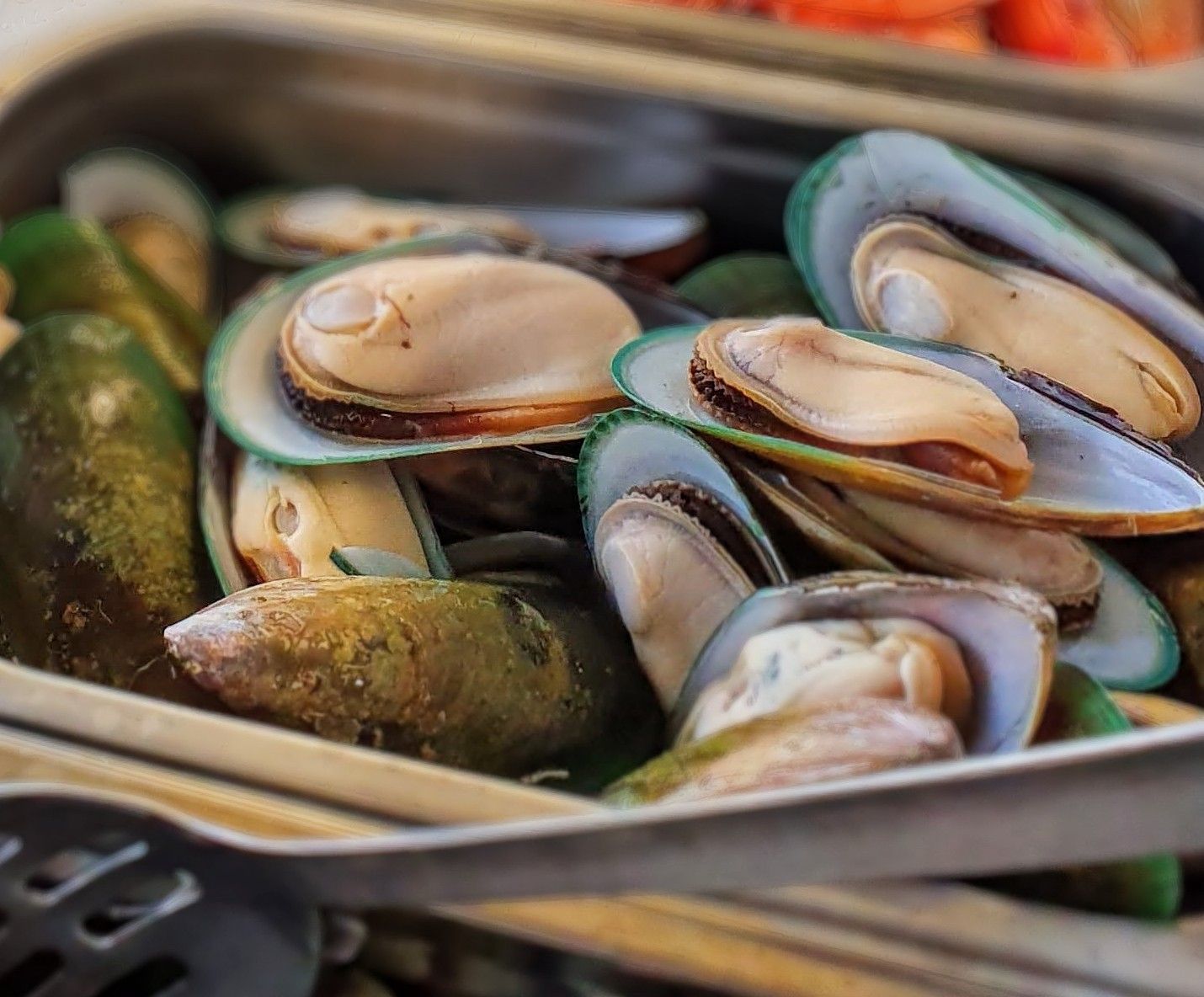 NZ Greenlip Mussels (10)