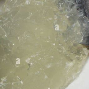 Jelly from Eels (Medium Tub)