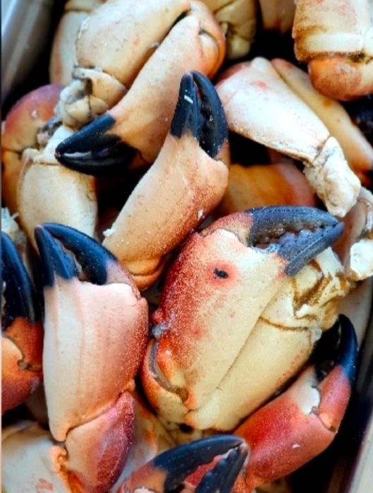 Crab Claws (4-5pcs) approx 275g