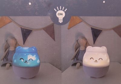 Mr. Wonderful Light Projector