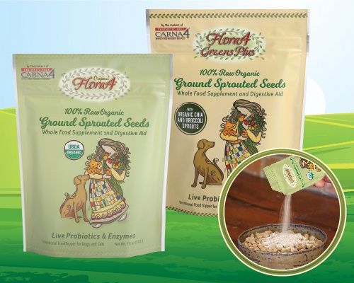 Carna4 - Ground Sprouted Seeds Supplement, Base: Original