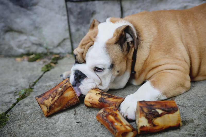 Fresh n’ Local - Smoked Bones