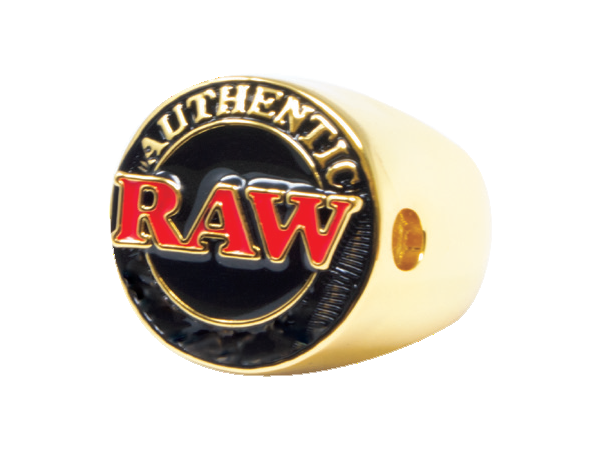 Raw Championship Ring