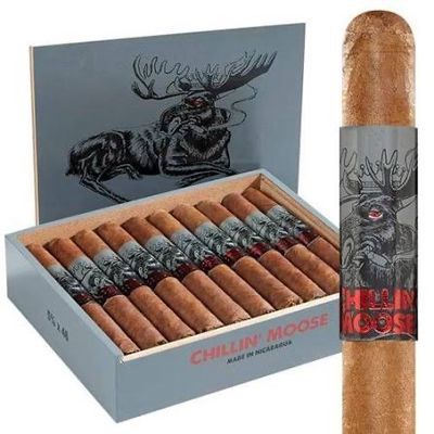 Chillin' Moose Robusto Cigar