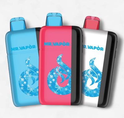 Mr. Vapor Arctic