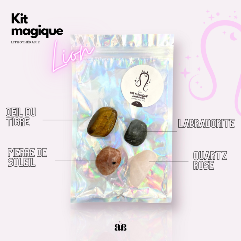 KIT LITHO ASTRO LION