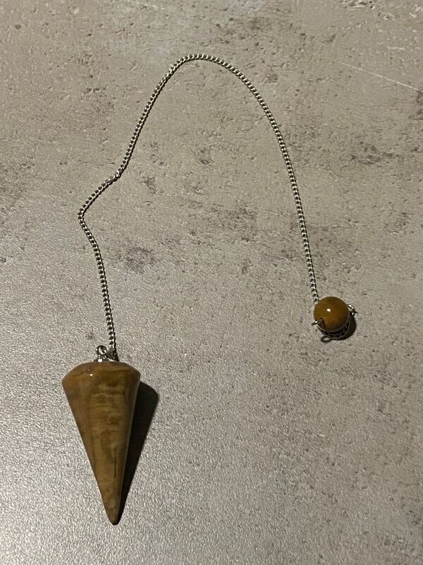 PENDULE EN BOIS FOSSILISE